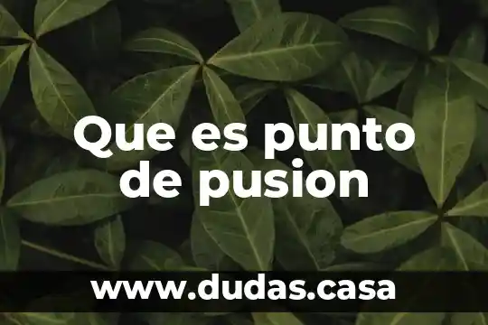 Que es punto de pusion