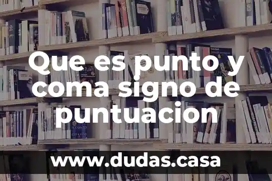 Que es punto y coma signo de puntuacion
