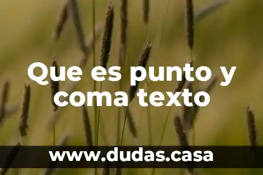 Que es punto y coma texto