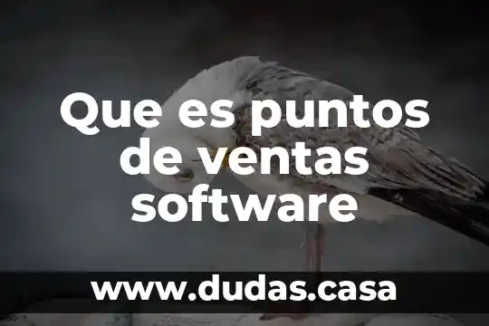 Que es puntos de ventas software