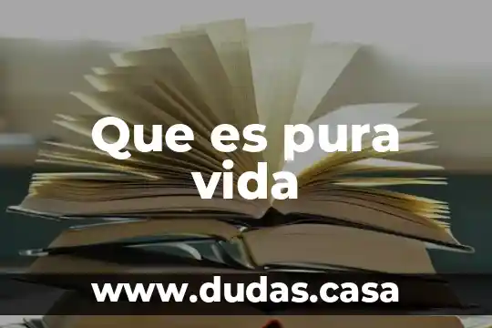 Que es pura vida