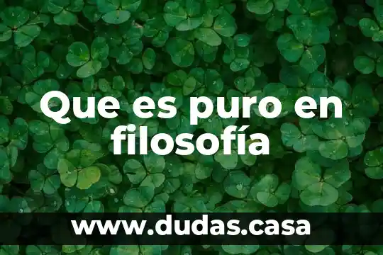 Que es puro en filosofía