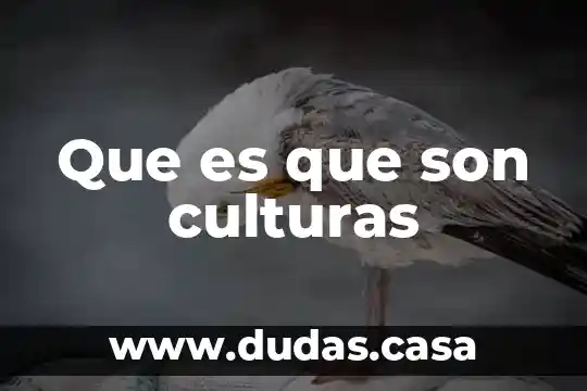 Que es que son culturas