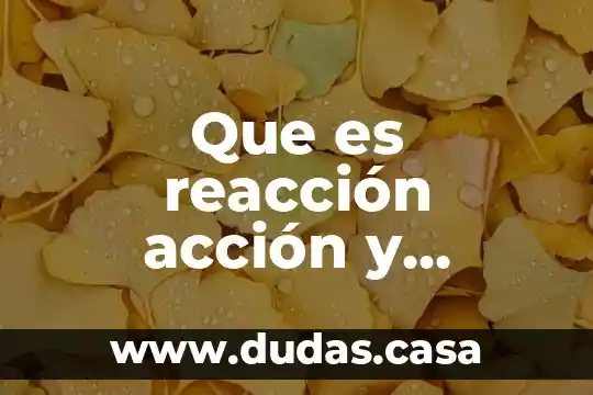 Que es reacción acción y presión