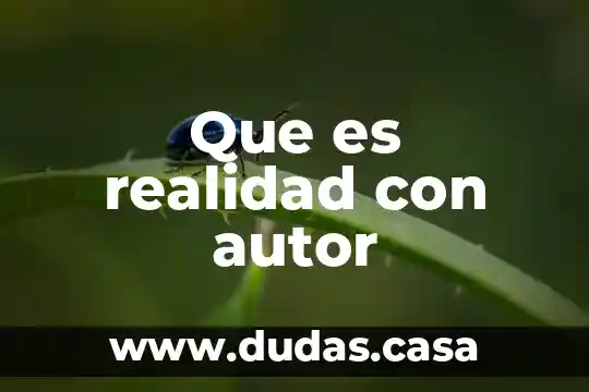 Que es realidad con autor