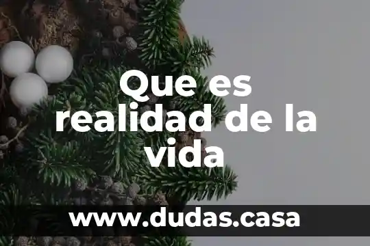 Que es realidad de la vida