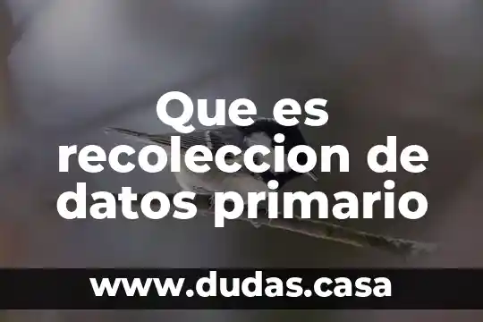 Que es recoleccion de datos primario