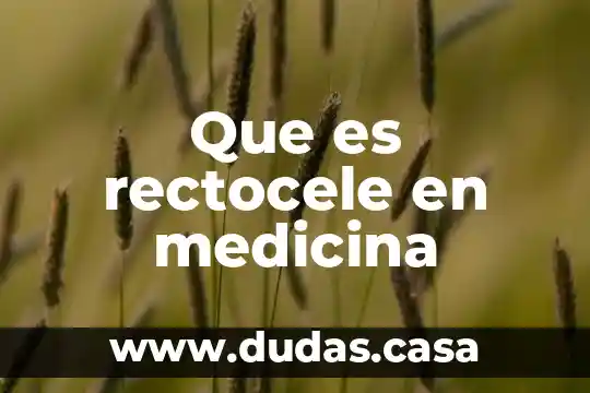 Que es rectocele en medicina
