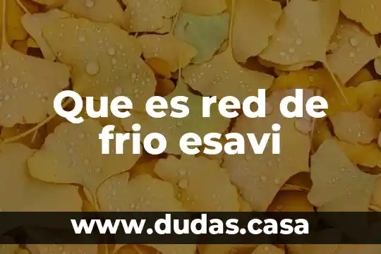 Que es red de frio esavi