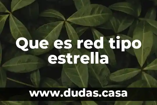 Que es red tipo estrella