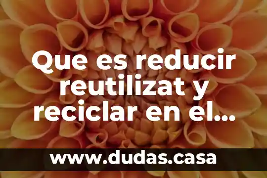 Que es reducir reutilizat y reciclar en el medio ambiente