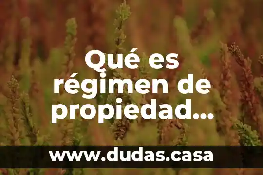 Qué es régimen de propiedad comunal