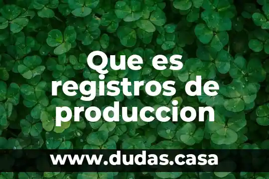 Que es registros de produccion