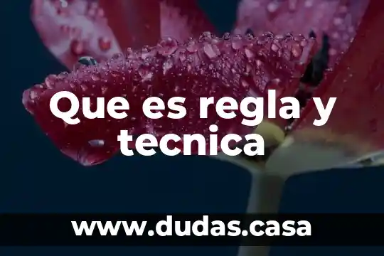 Que es regla y tecnica