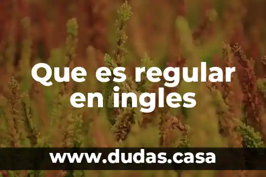 Que es regular en ingles