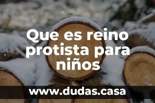 Que es reino protista para niños