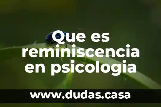 Que es reminiscencia en psicologia