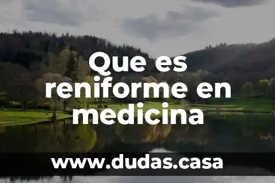 Que es reniforme en medicina