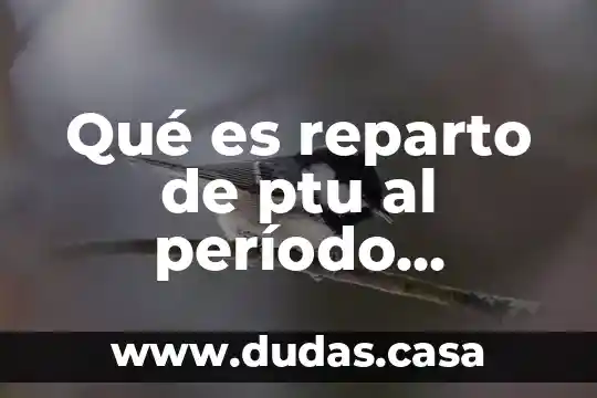 Qué es reparto de ptu al período comprendido