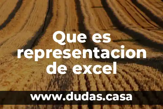 Que es representacion de excel