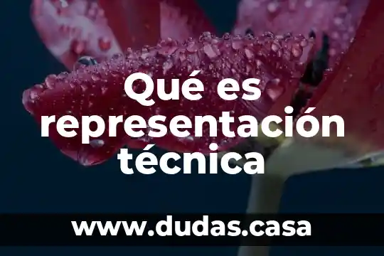 Qué es representación técnica