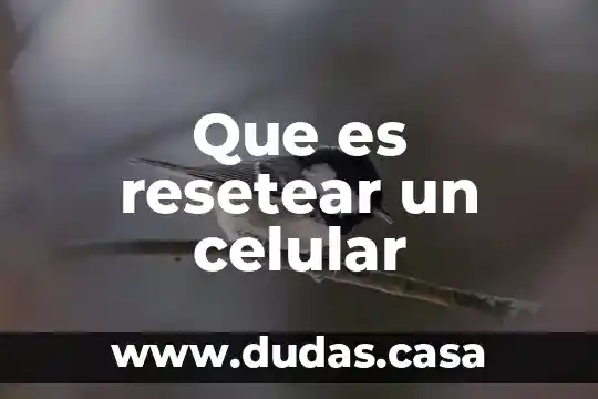 Que es resetear un celular