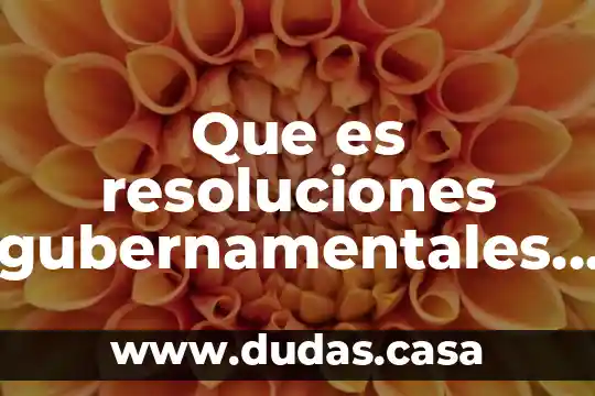 Que es resoluciones gubernamentales en derecho ejemplos