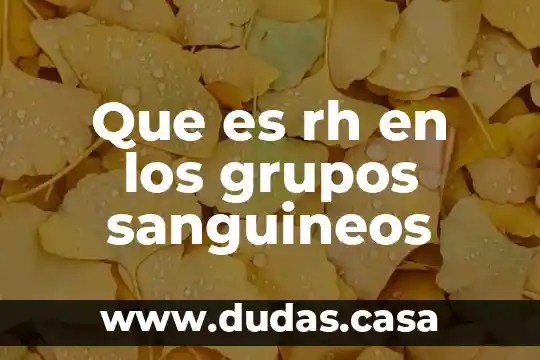 Que es rh en los grupos sanguineos