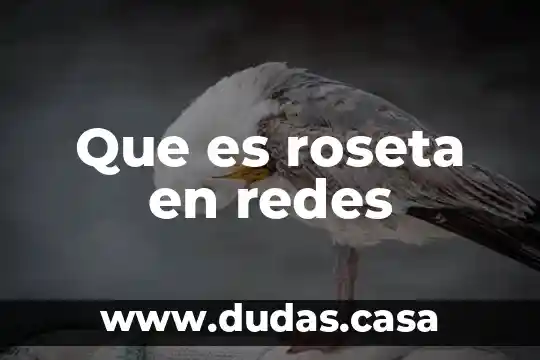 Que es roseta en redes