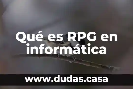 Qué es RPG en informática