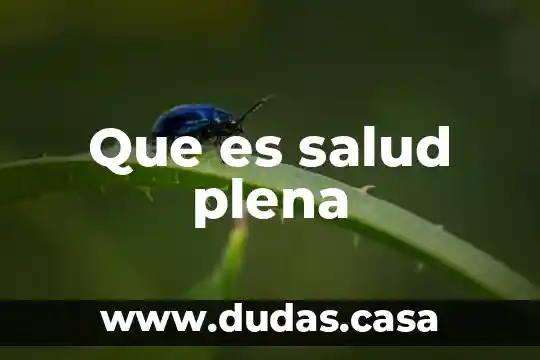 Que es salud plena