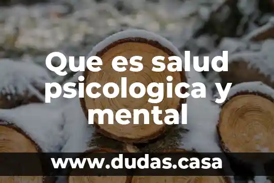 Que es salud psicologica y mental