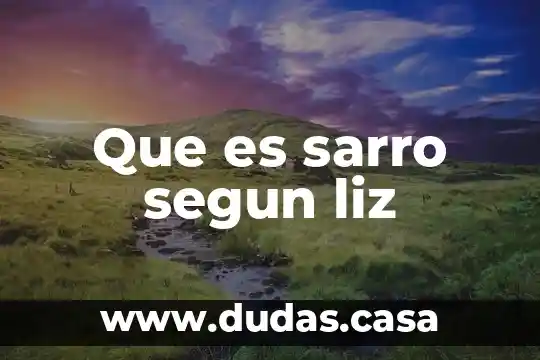 Que es sarro segun liz