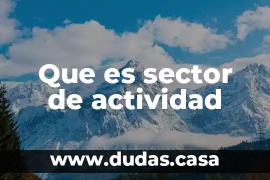 Que es sector de actividad