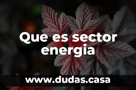 Que es sector energia
