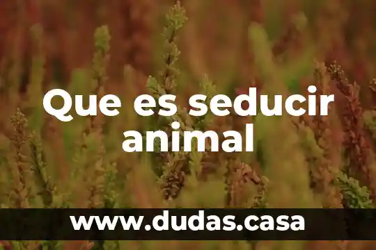 Que es seducir animal