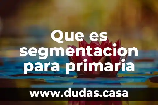 Que es segmentacion para primaria