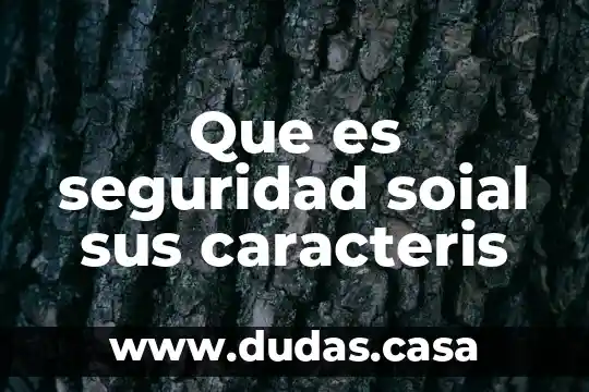 Que es seguridad soial sus caracteris