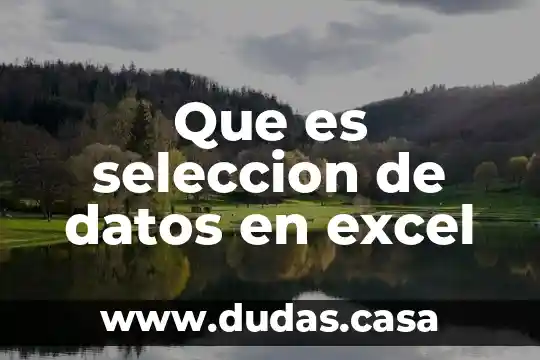 Que es seleccion de datos en excel