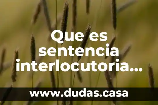 Que es sentencia interlocutoria modelo