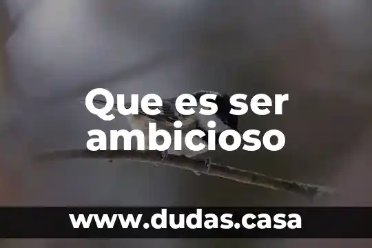 Que es ser ambicioso