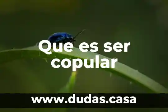 Que es ser copular