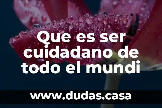 Que es ser cuidadano de todo el mundi