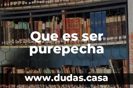 Que es ser purepecha