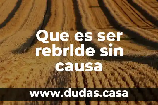 Que es ser rebrlde sin causa
