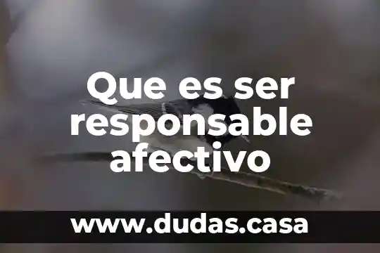 Que es ser responsable afectivo