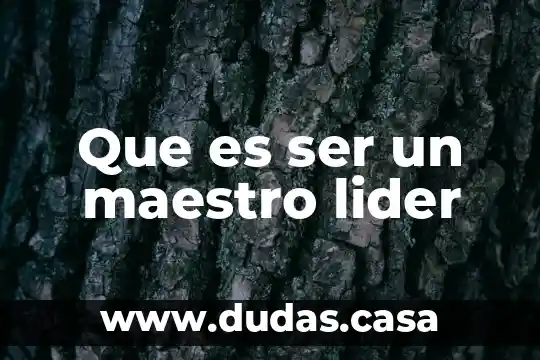 Que es ser un maestro lider