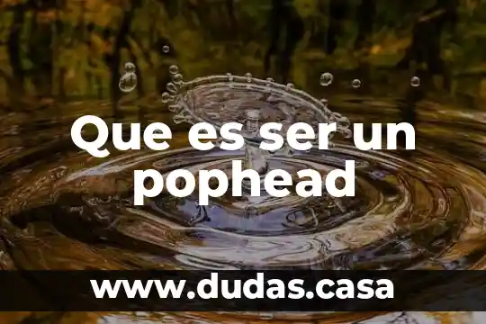 Que es ser un pophead