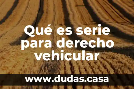Qué es serie para derecho vehicular
