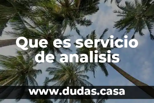 Que es servicio de analisis